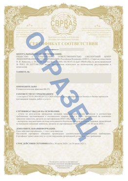 Образец Сертификат СТО 01.064.00220722.2-2020 Краснознаменск Сертификат СТО 01.064.00220722.2-2020 